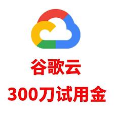 谷歌云300美元试用金账号｜GCP云主机部署开发测试资源